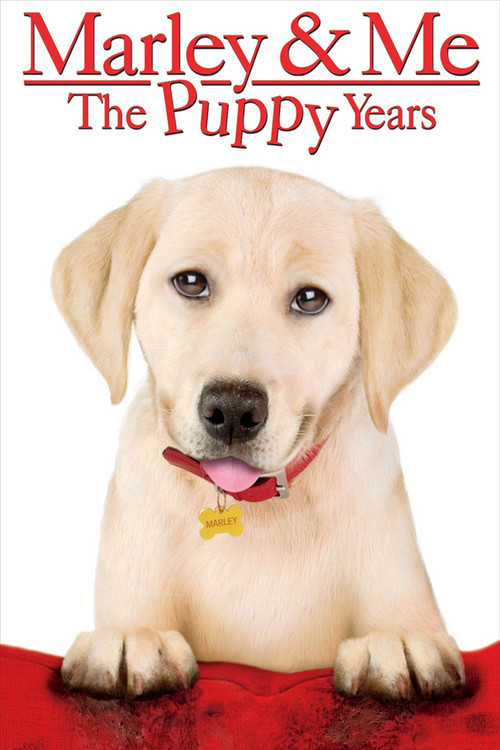 Marley &amp; Me: The Puppy Years