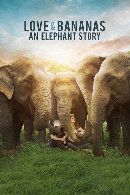 Love &amp; Bananas: An Elephant Story