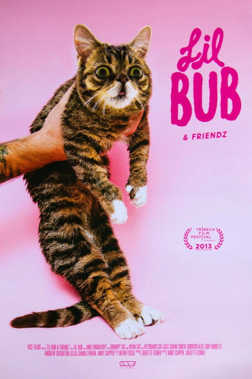 Lil Bub &amp; Friendz