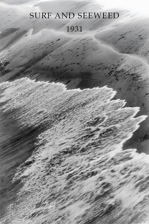Surf and Seaweed