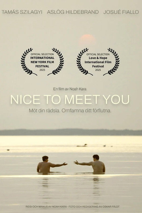 Nice to Meet You