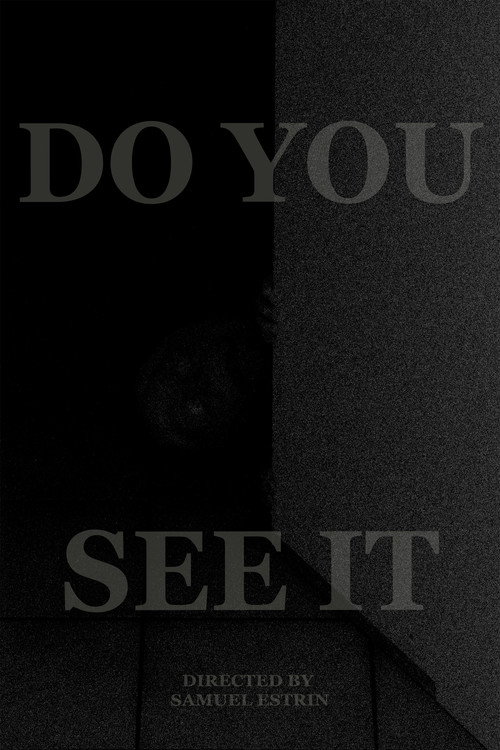 DO YOU SEE IT