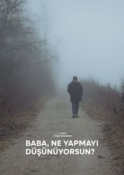 Baba, What's Your Plan?