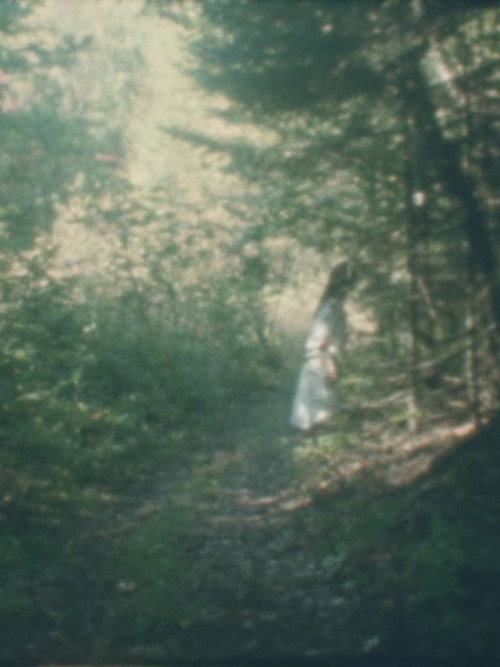 To the Forest