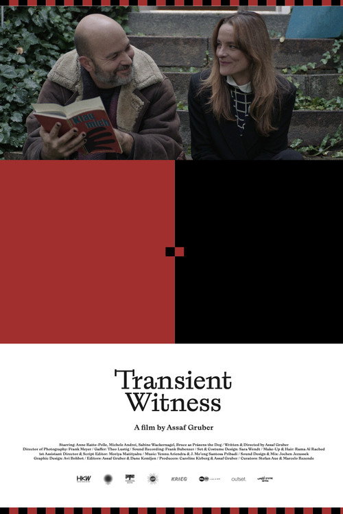 Transient Witness
