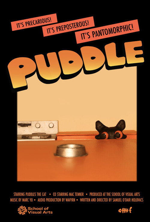 Puddle