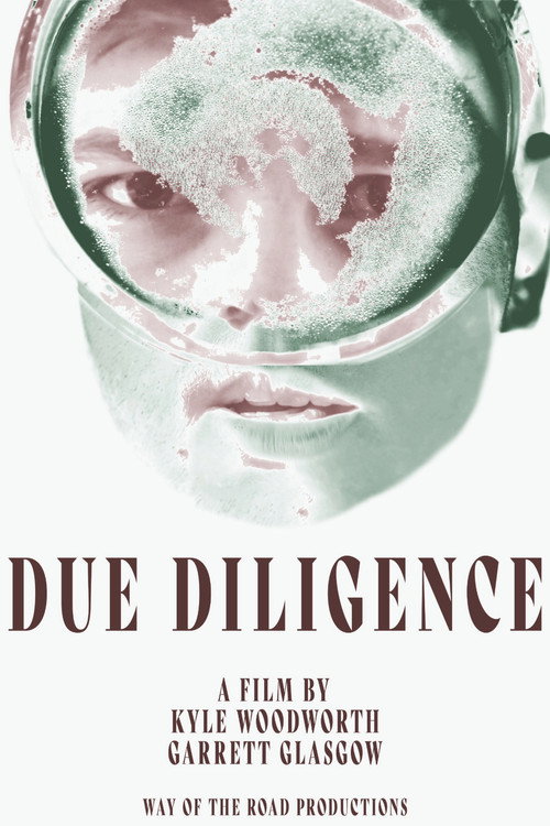 Due Diligence