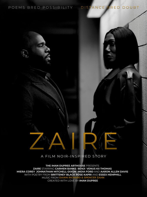 Zaire: A Film Noir-Inspired Story