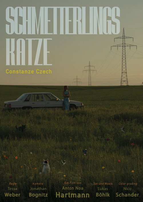Schmetterlingskatze