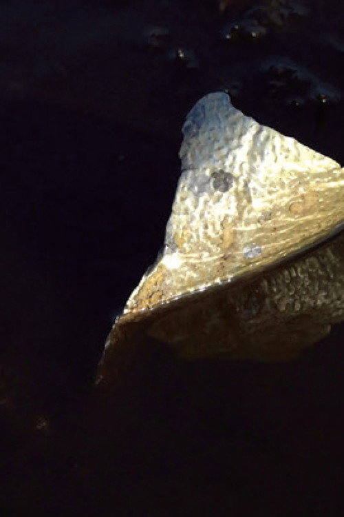 Gold leaf