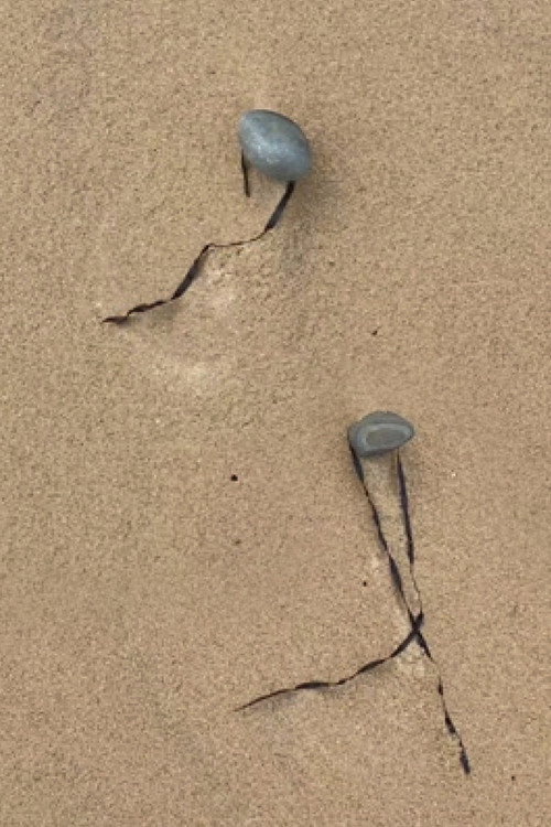 Double act