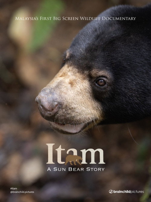 Itam: A Sun Bear Story