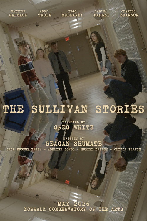 The Sullivan Stories