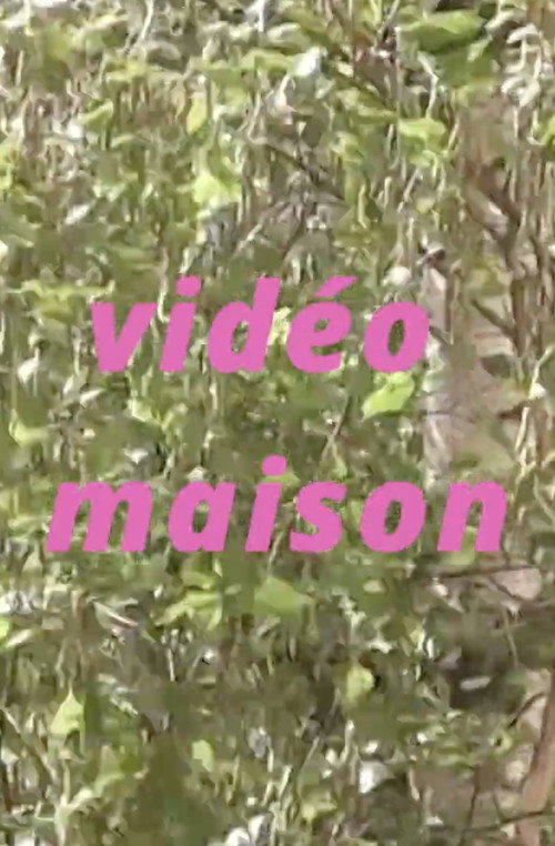 Vidéo maison