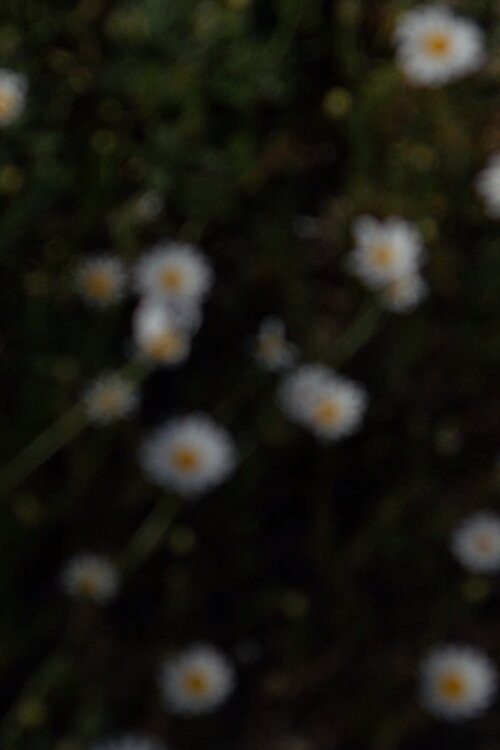 25 aprile