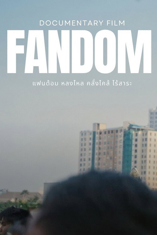 Fandom: Fascination, Craze or Pointless