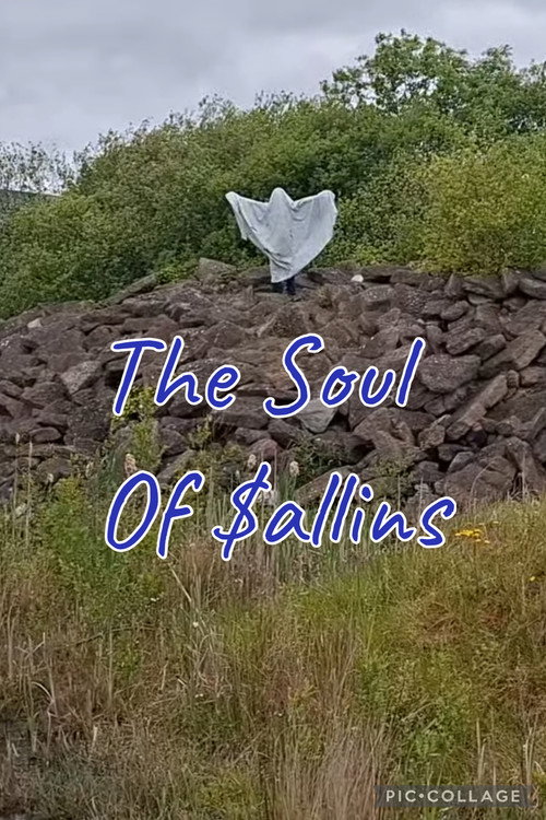 The Soul Of Sallins