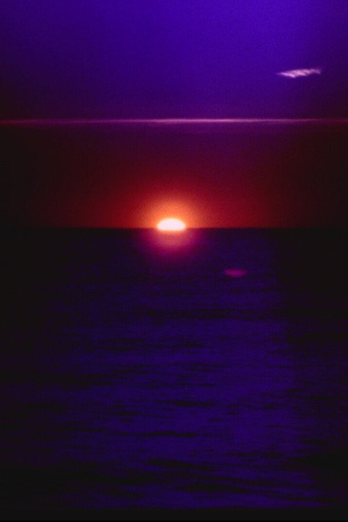 solar wave