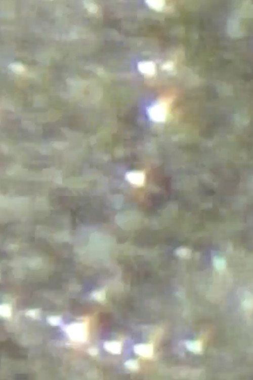 Círculo de luz