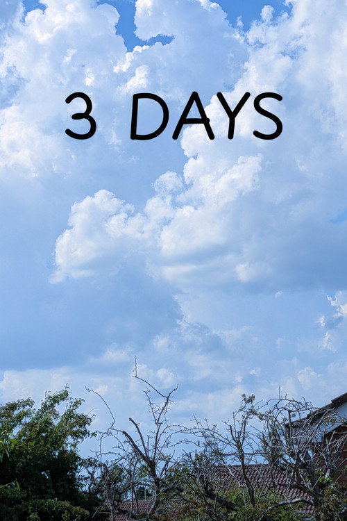 3 DAYS