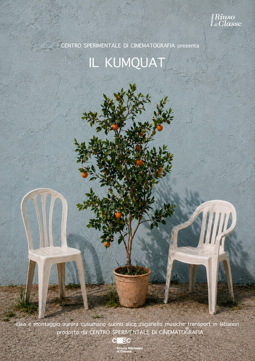Il Kumquat