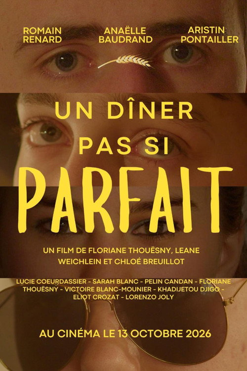 Un dîner pas si parfait