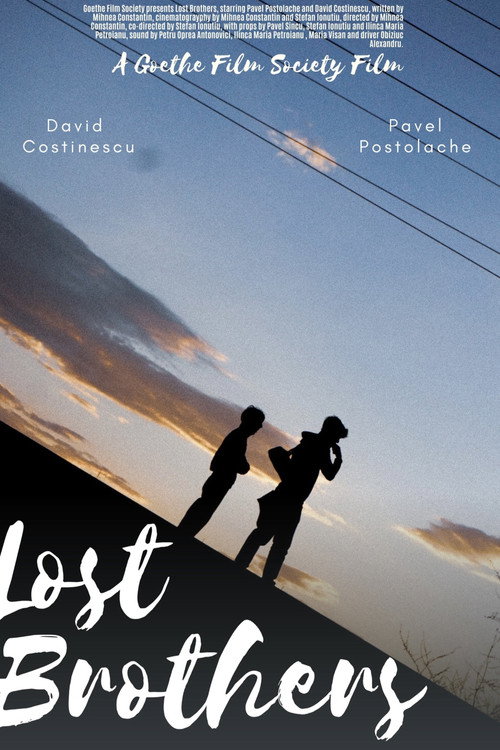 Lost Brothers