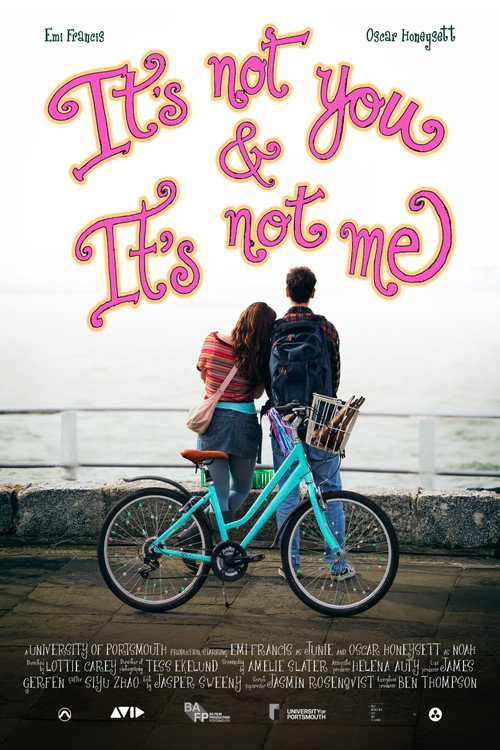 It's Not You &amp; It's Not Me