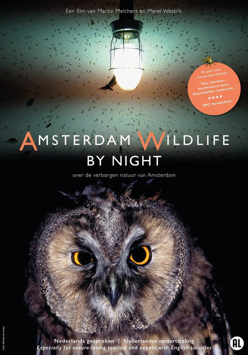 Amsterdam Wildlife by Night