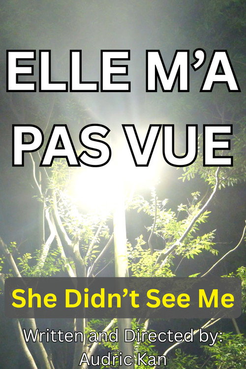 She Didn't See Me