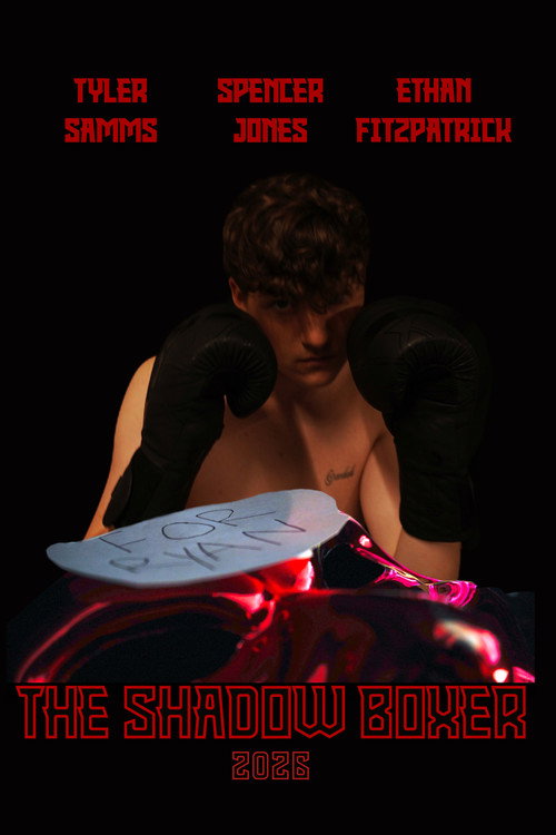 The Shadow Boxer