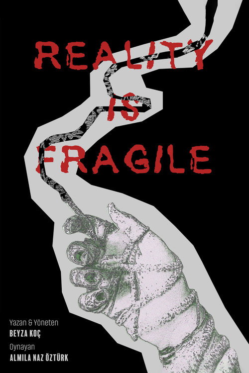 Reality Is Fragile