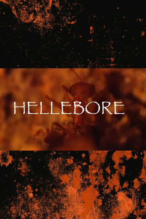 Hellebore