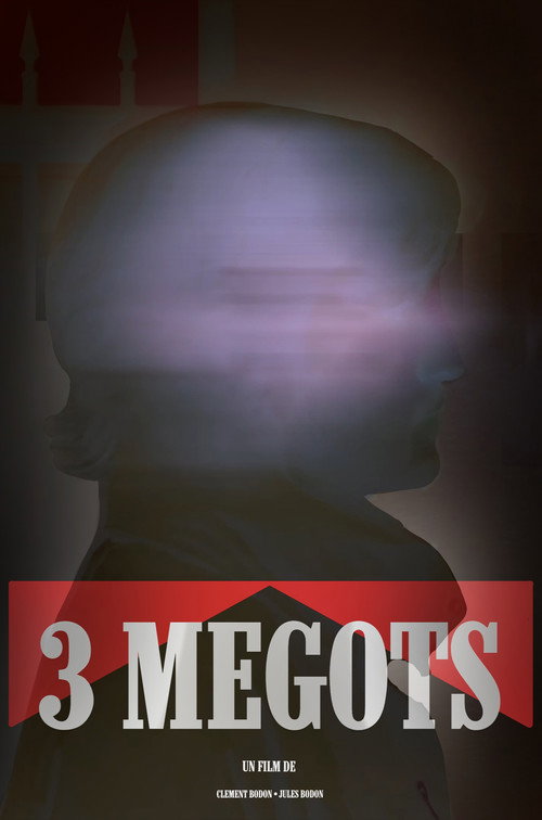 3 MEGOTS
