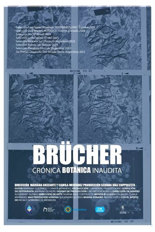 Brücher, Crónica Botánica Inaudita