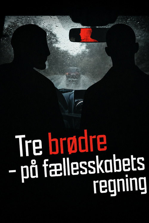 Tre brødre - På fælleskabets regning